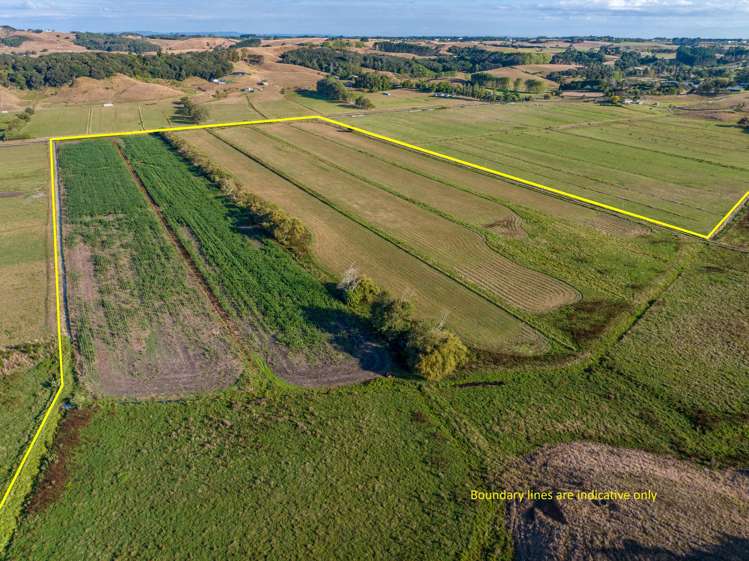 229 Wily Road Puni_9