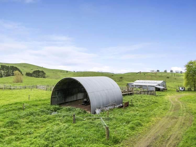 637 to 897 Tahuroa Road Morrinsville_14