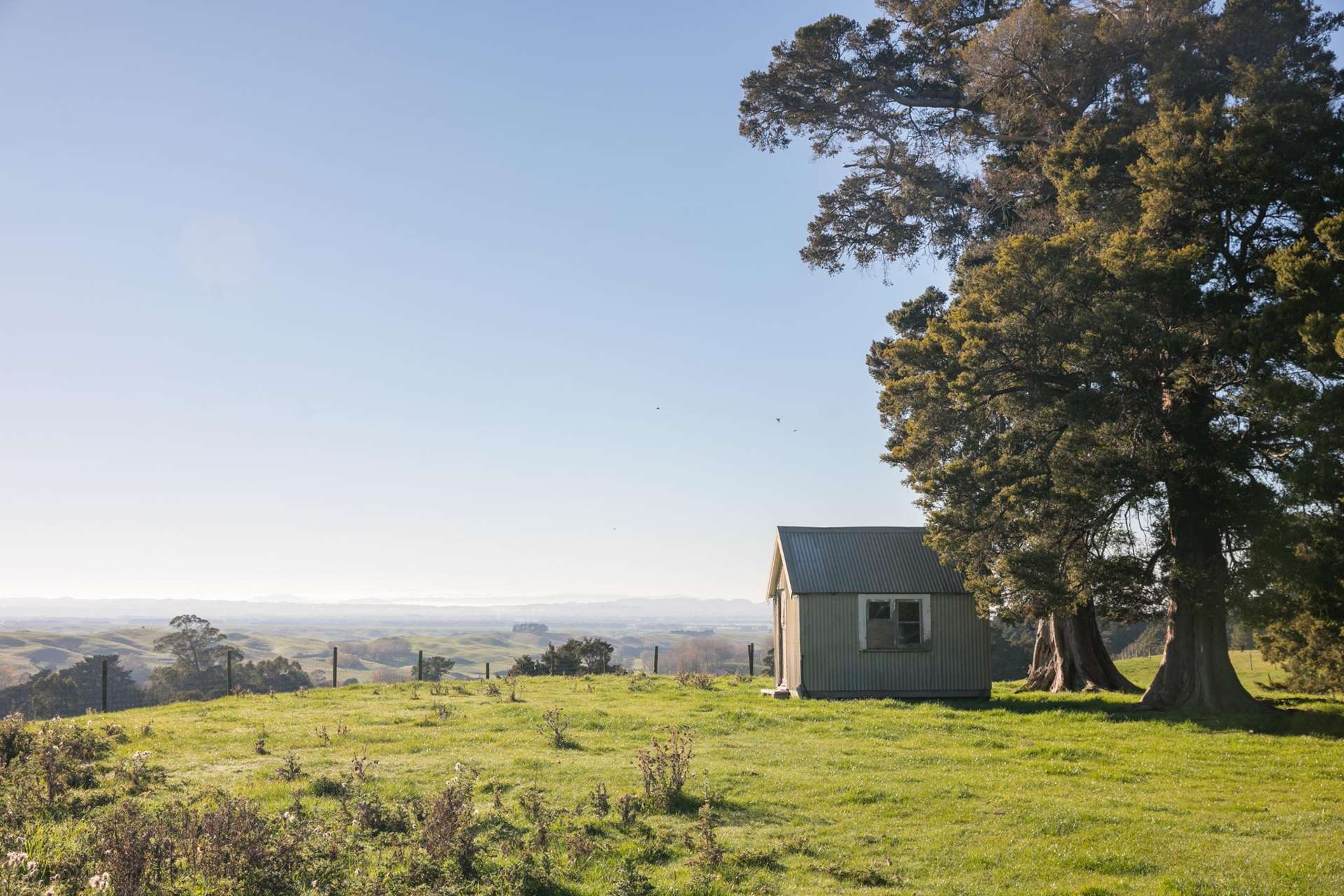 613 Blackburn Road Ongaonga_0