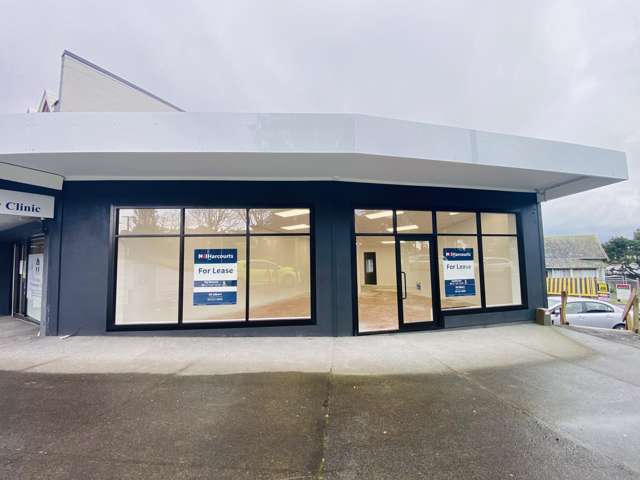 1081 New North Road Mount Albert_1