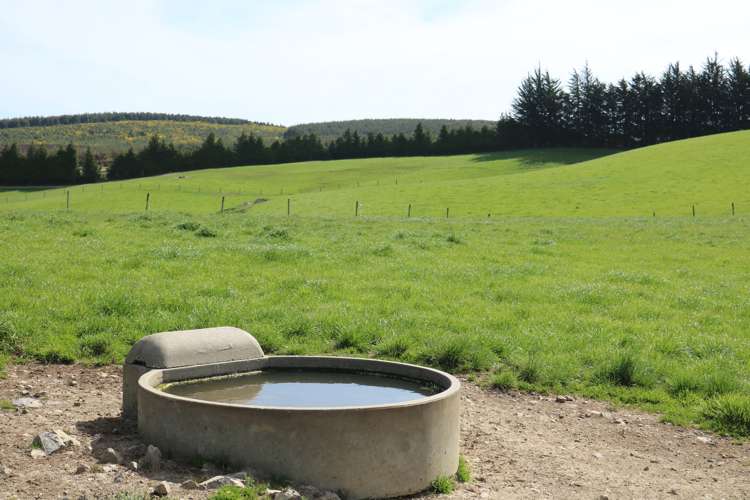 339 Rankleburn Road Pomahaka_14