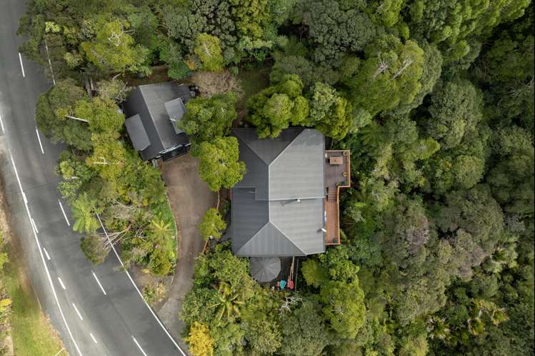 156 Piha Road Piha_38