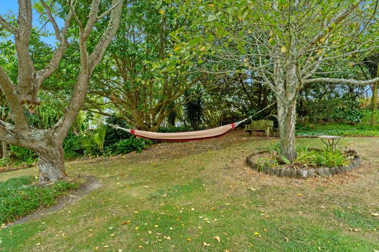 43 Settlement Road Kaiwaka_18