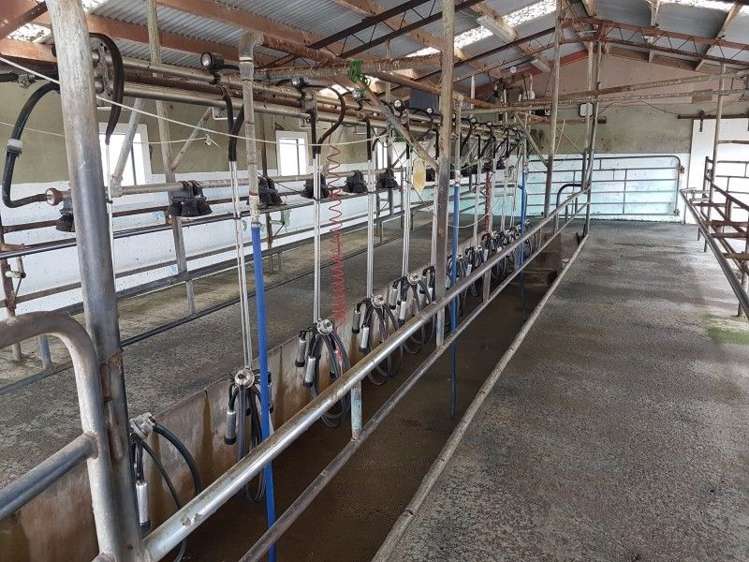 349 Ihaia Road Opunake_0