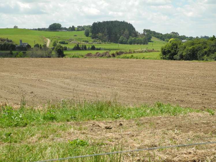 82 Pirongia Road Te Awamutu_2