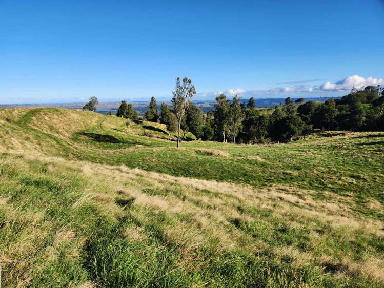 319 Ohautira Road Raglan_4