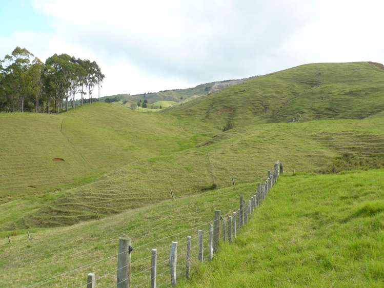 481 Moore Road Pipiwai_12