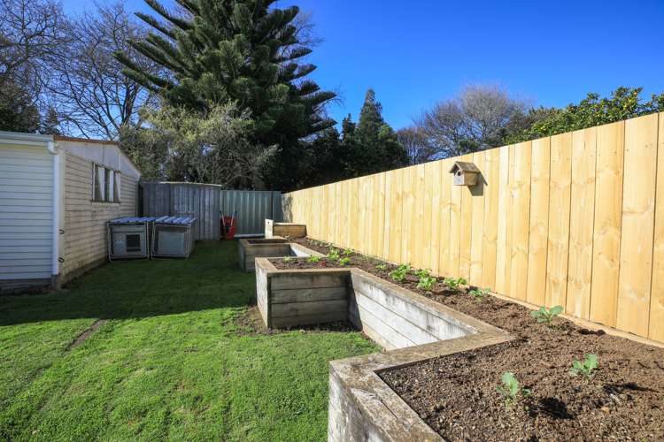 55 Frontier Road Te Awamutu_23