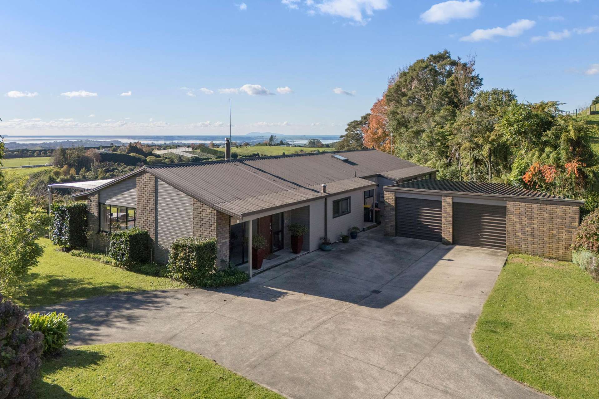 480C Youngson Road Whakamarama_0