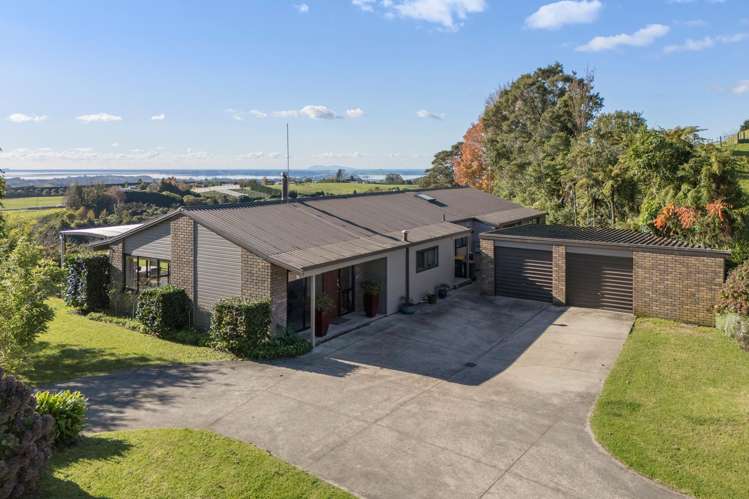 480C Youngson Road Whakamarama_0