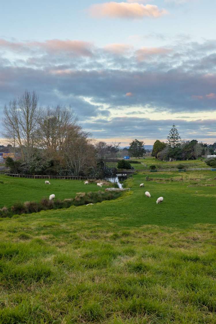 123 Butcher Road Pukekohe_23