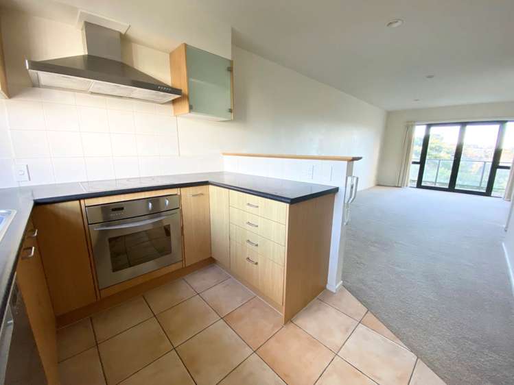 3f Laxon Terrace Remuera_6