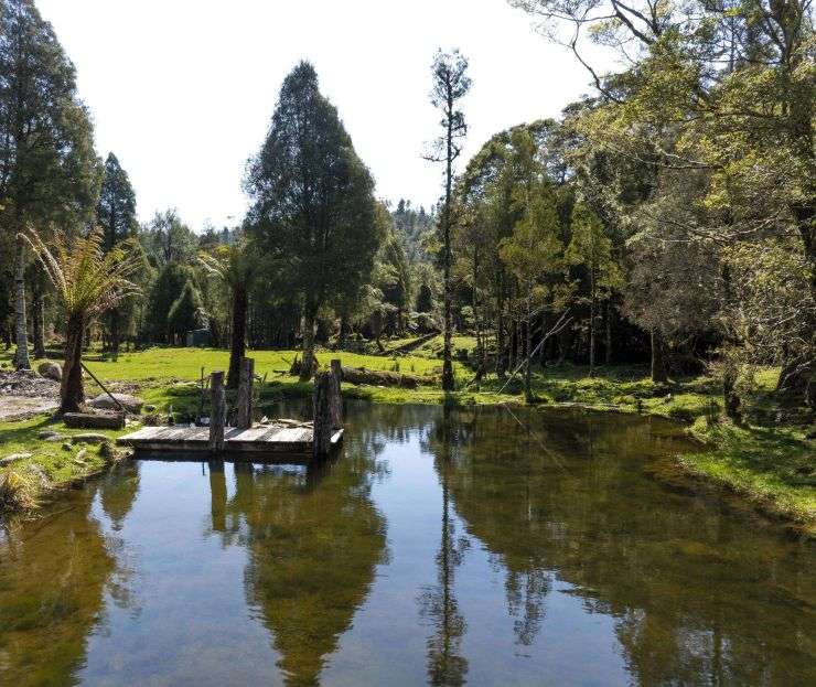 Johnny Curry's 302ha retreat on the West Coast, near Westport, is up for grabs. Photo / Supplied