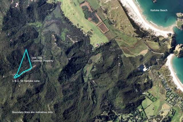 1&2/56 Kaitoke Lane Great Barrier Island_4