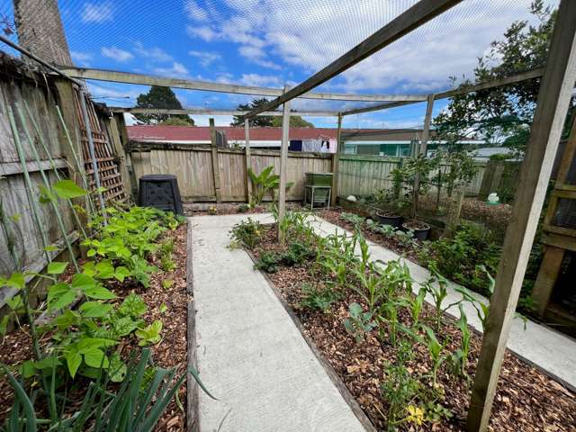 25 Ambler Avenue Glen Eden_3