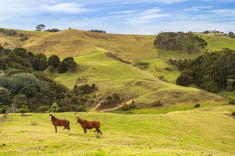 1096f Awhitu Road Pollok_4