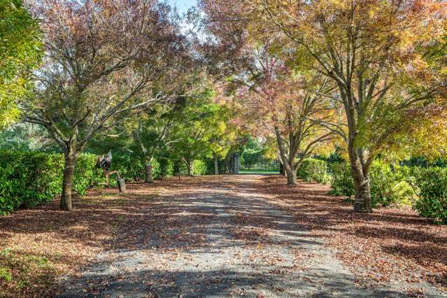 53 John Hindmarsh Road Karaka_2