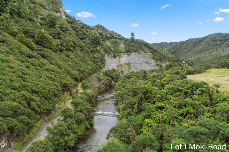 Lot 1 Moki Road, Tahora Taumarunui_16