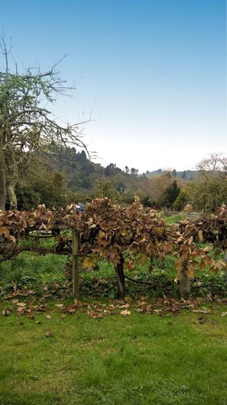 84 Ngatai Street Taumarunui_15