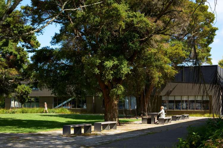 L2, 68 Ward Street Upper Hutt Central_13