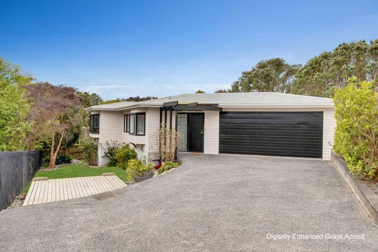 36a Tiri Road_0
