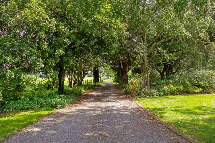 119 Te Whiti Settlement Road Masterton_19