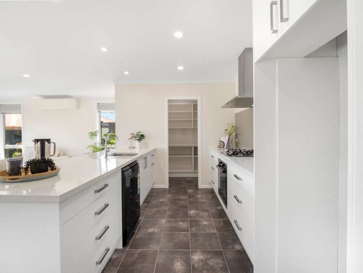 508A Mandeno Street_3