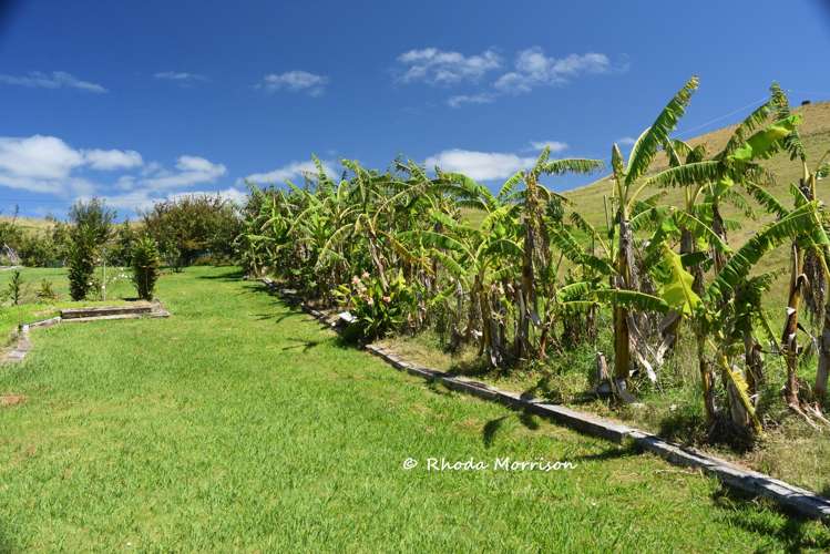 339 Linton Road Maungaturoto_9