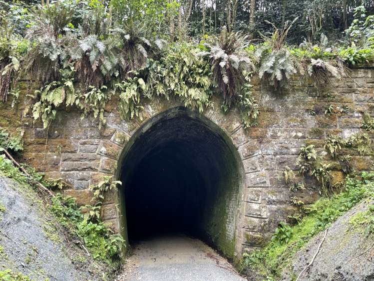 Manuka Gorge Highway Waitahuna_8