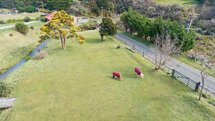 541 South Makara Road Makara_40