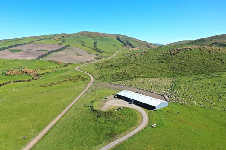 623 Slopedown Road Catlins Surrounds_10