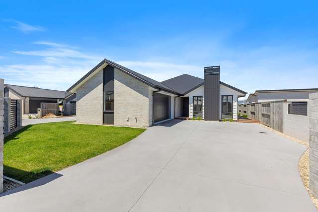 53 Cotula Way Papamoa_2