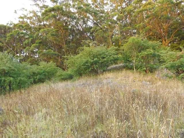 35 Punga Grove Avenue Riverside_4