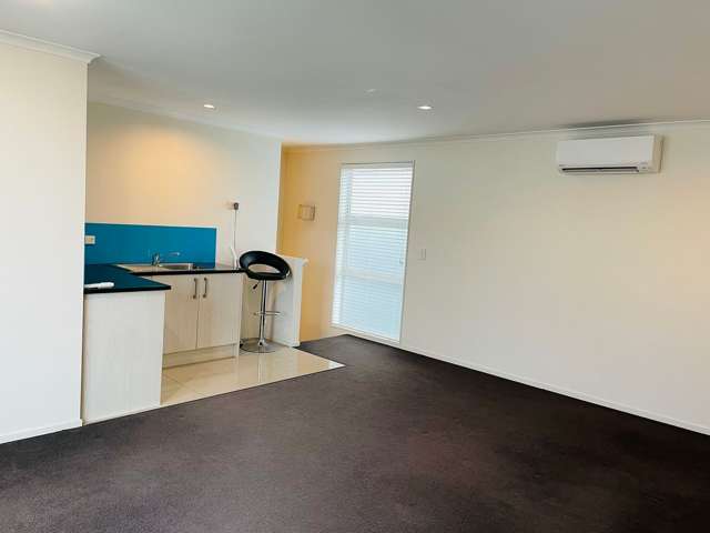 8 Mohua Avenue Takanini_3