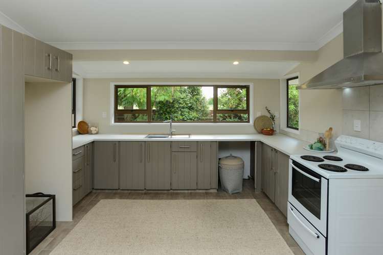 61 Johns Road Jervoistown_9