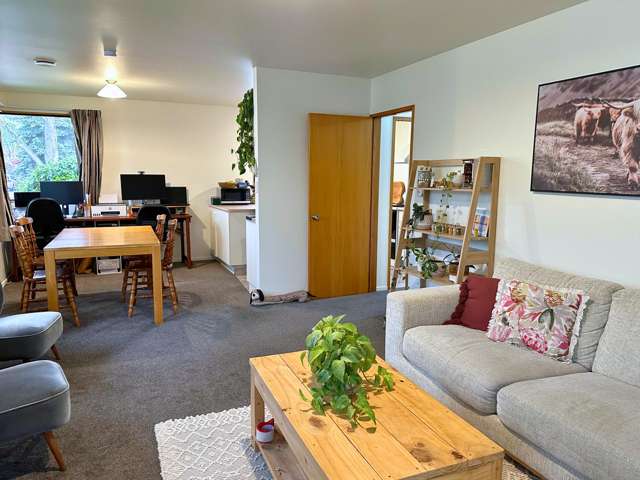 12 Solway Drive Witherlea_2