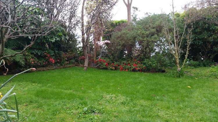 9 Tai Paku Paku Road Karaka Bays_8