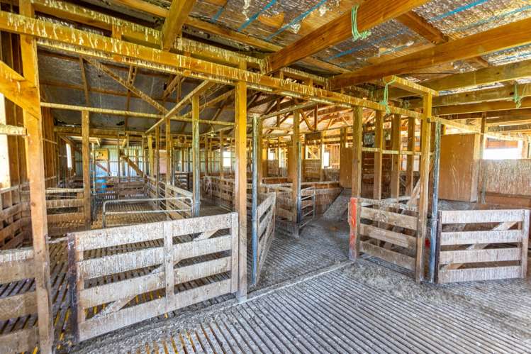 79816 State Highway 2 Woodville_7