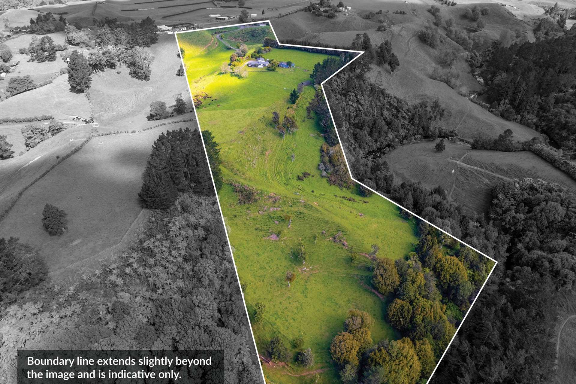 838 Mangorei Road Mangorei_0