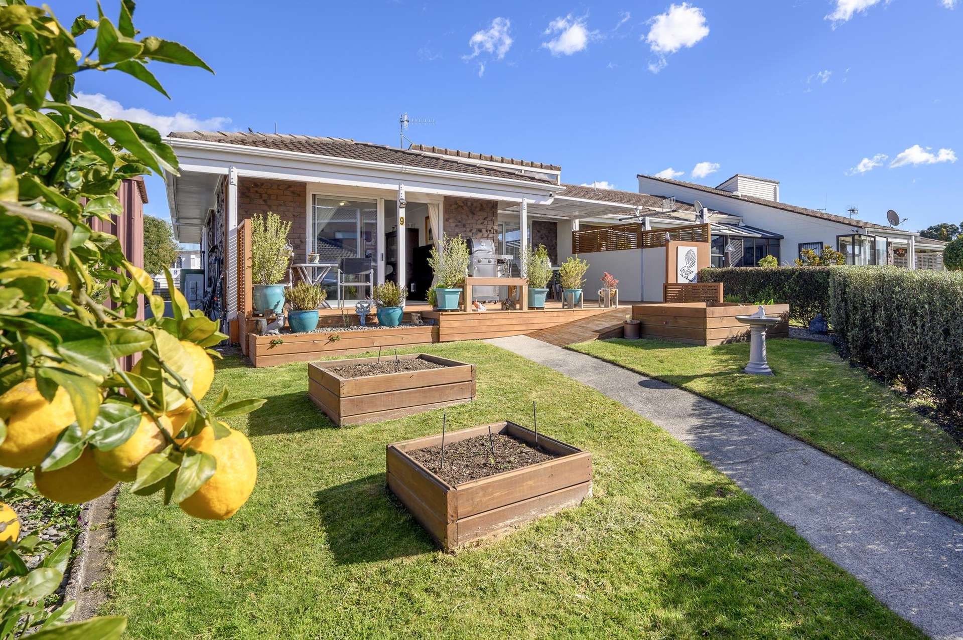 9/3 Stewart Street Te Puke_0
