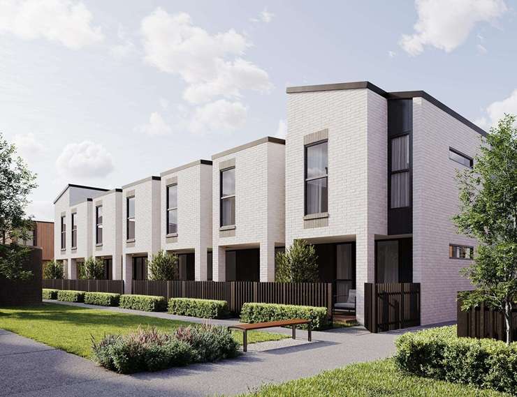 13 and 13a Alpers Avenue and 10-12 Edgerley Avenue were part of a 1.5ha block that had remained undeveloped for more than 20 years. Photo / Supplied