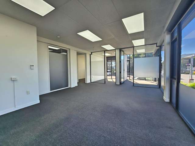 97 Manukau Road Epsom_1