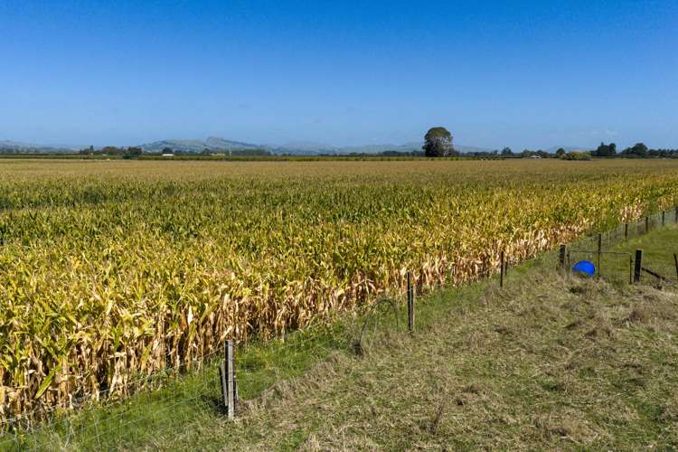 541 State Highway 51 Hastings_24