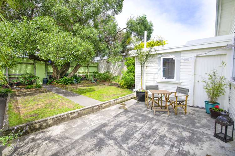 60 Mcgrath Street Napier South_19