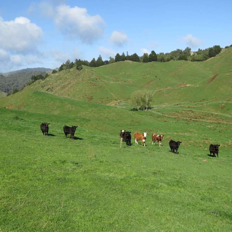 168 Pao Road Aria_24