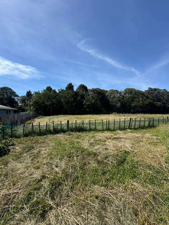 49A Mace Street Waitara_2