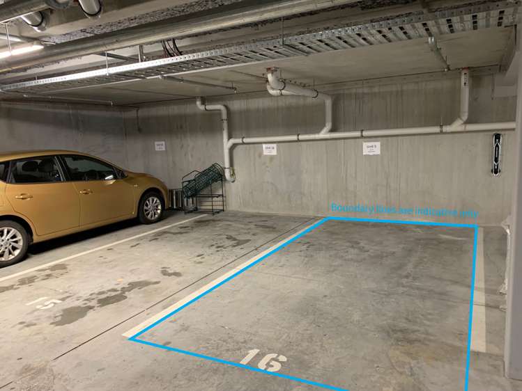 5/29 Mauranui Avenue Epsom_9