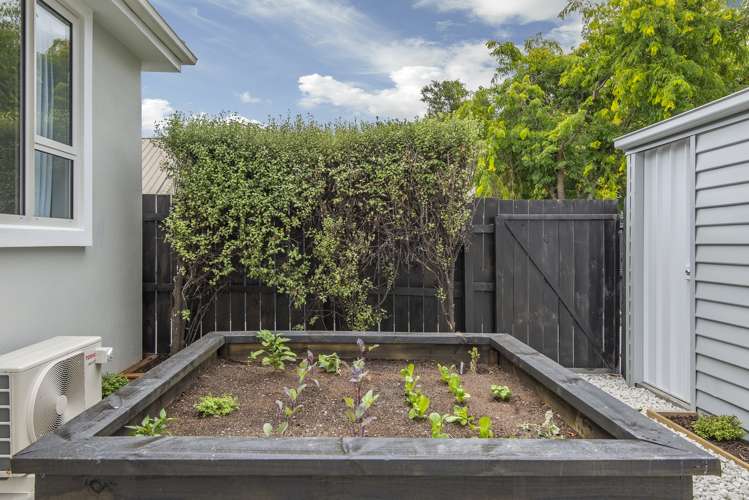 31 Studholme Street Somerfield_17