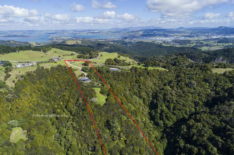 453 Mount Tiger Road Whareora_19