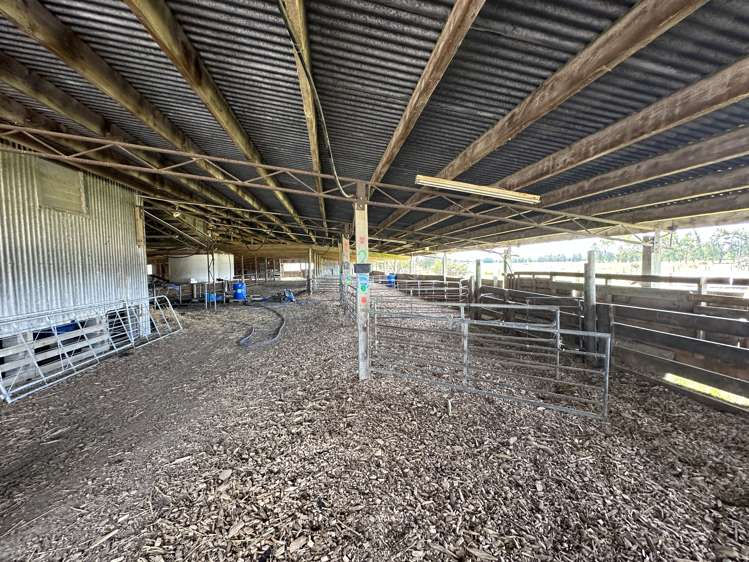 236 Telegraph Road Inch Clutha_16